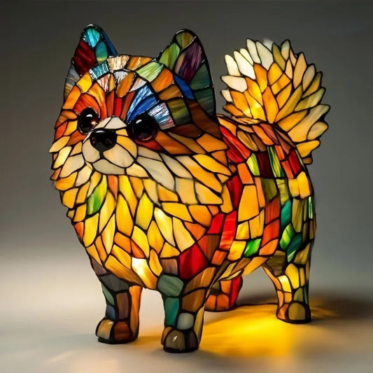 Simba | Pomeranian Sunshine